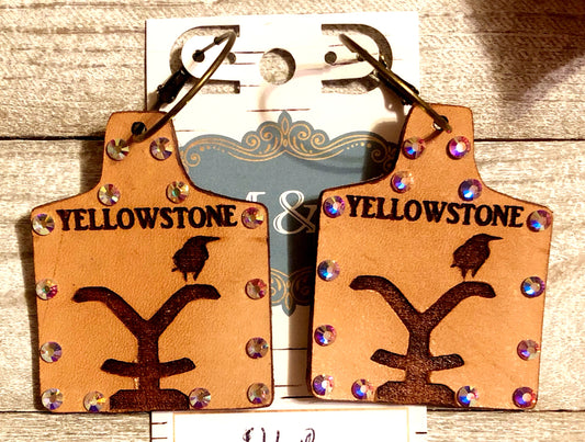 Leather/ AB Yellowstone Earrings